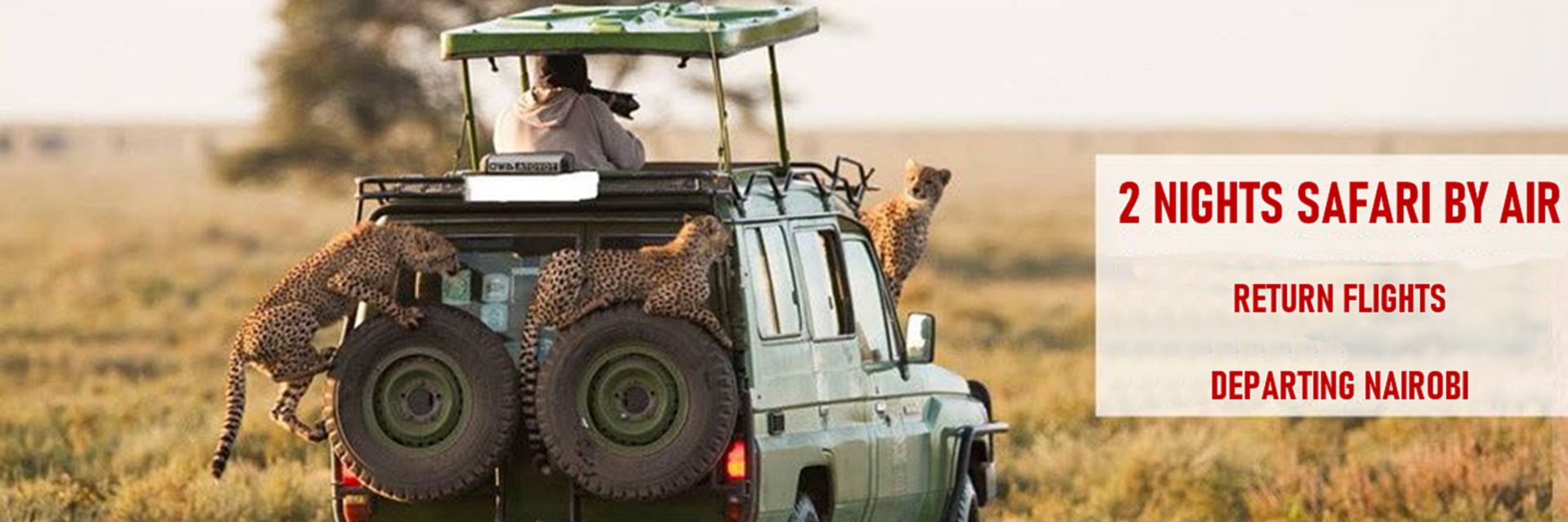 welcome to luxury lodgings for your safari adventure